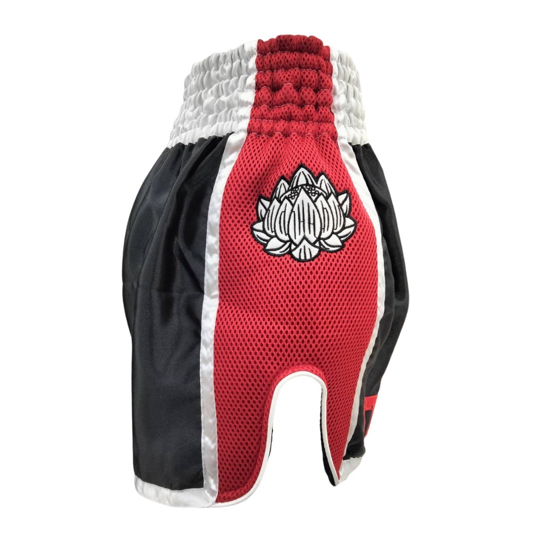 Buakaw Muay Thai Shorts BFG1-4