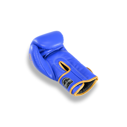 Blegend Boxing Gloves BGR Blue