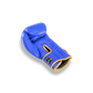 Blegend Boxing Gloves BGR Blue