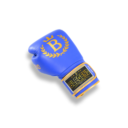 Blegend Boxing Gloves BGR Blue
