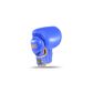 Blegend Boxing Gloves BGR Blue