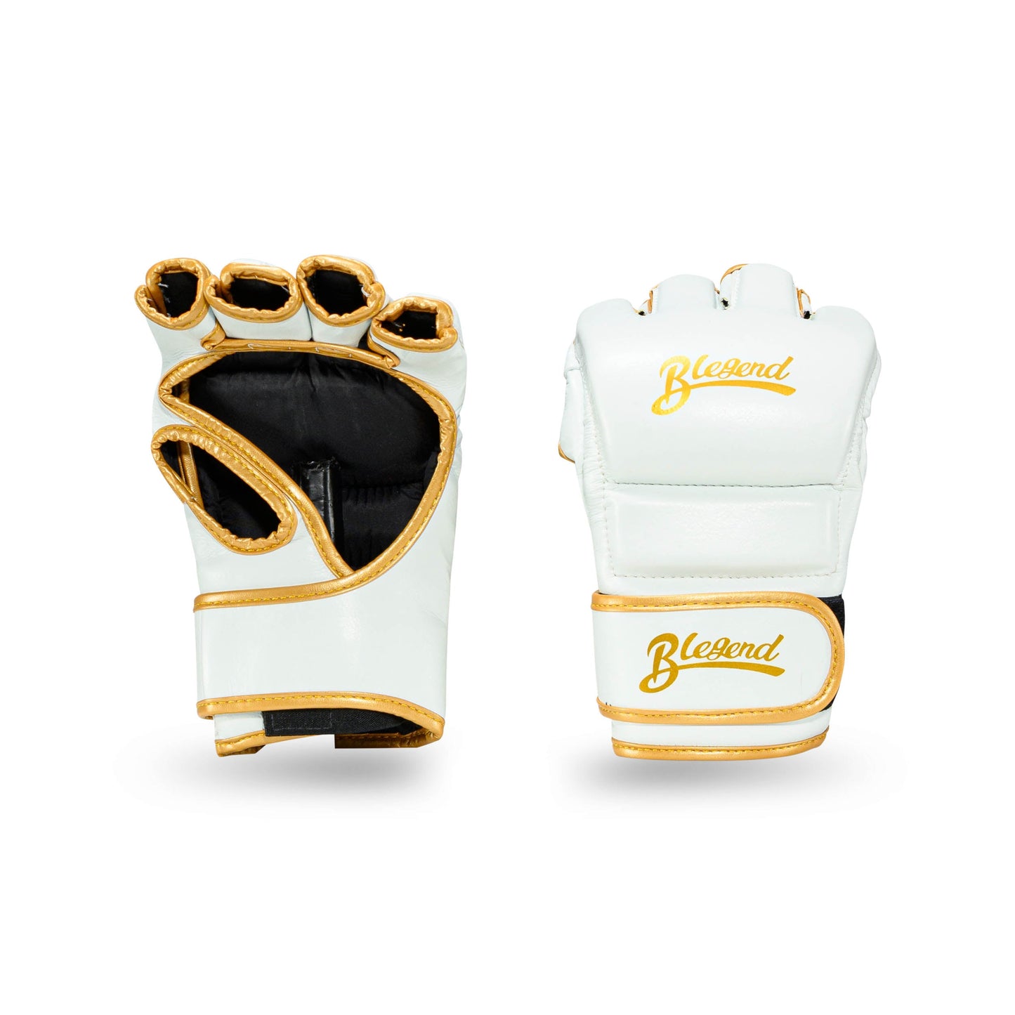 Blegend MMA Fight gloves White
