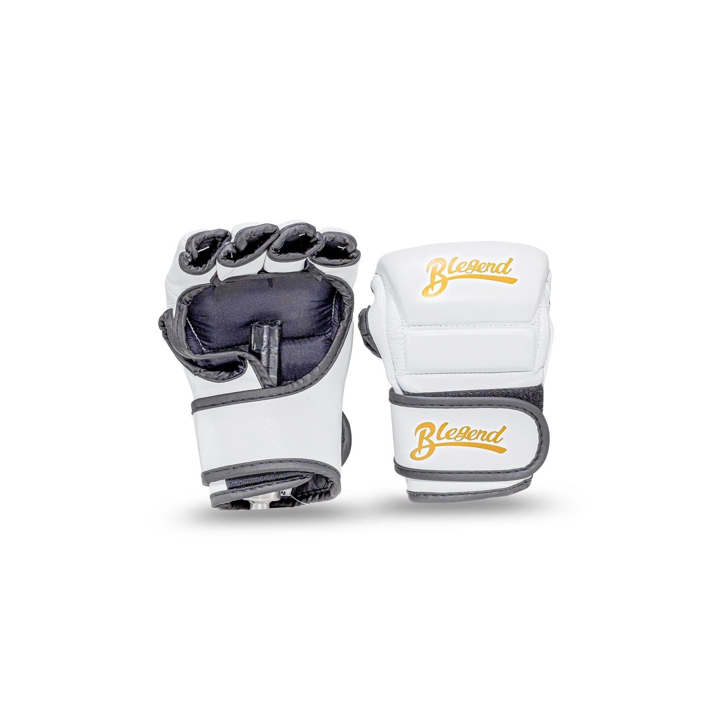 Blegend MMA Fight gloves