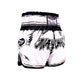 Twins Special Muay Thai Shorts TBS-COMIC