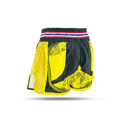 King Pro Boxing Shorts KPB Flag 3