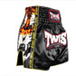 Twins Special Muay Thai Shorts TBS-New Payak