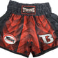 Twins Special x Booster Muay Thai Shorts TBT03