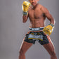 Buakaw Boxing Gloves BGL-GL3 Gold - SUPER EXPORT SHOP