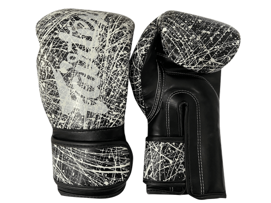 Fairtex Boxing Gloves BGV14 KOREAN Painter