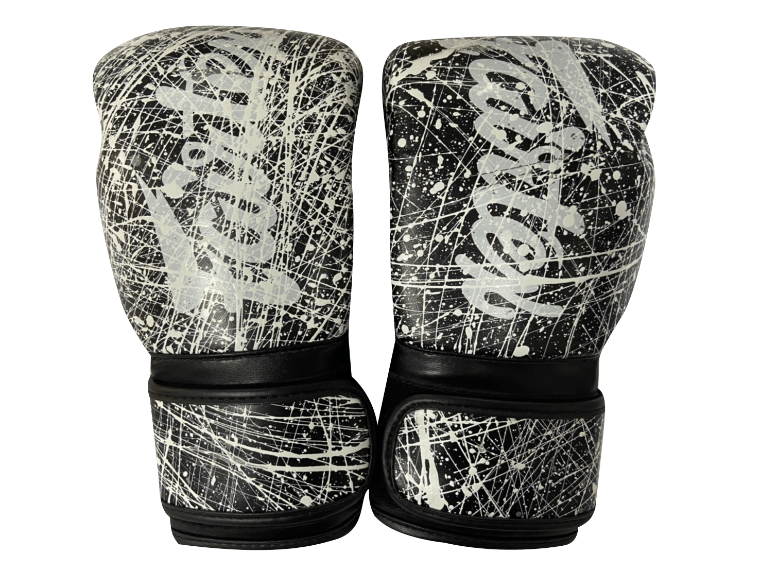 Fairtex Boxing Gloves BGV14 KOREAN Painter Fairtex