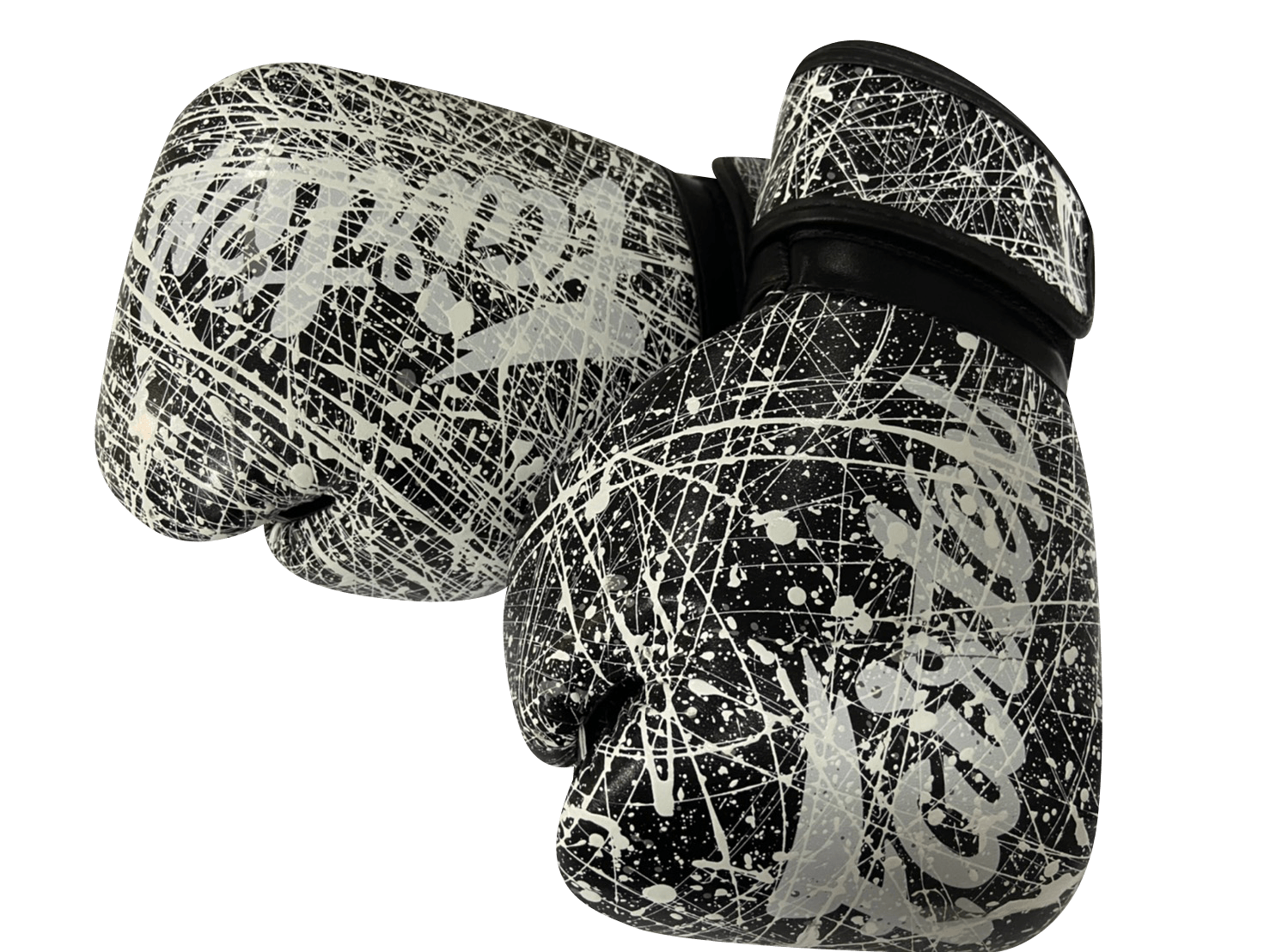 Fairtex Boxing Gloves BGV14 KOREAN Painter Fairtex