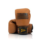 Fairtex Boxing Gloves BGV21"Legacy"