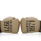 Fairtex Boxing Gloves BGV25 F-Day2 without box