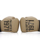 Fairtex Boxing Gloves BGV25 F-Day2 without box