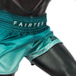 Fairtex Shorts BS1906 Fairtex