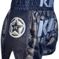 King Pro Boxing Shorts KPB Pro Star 2 Grey - SUPER EXPORT SHOP