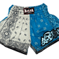 Raja Shorts Indian Sky Blue R162